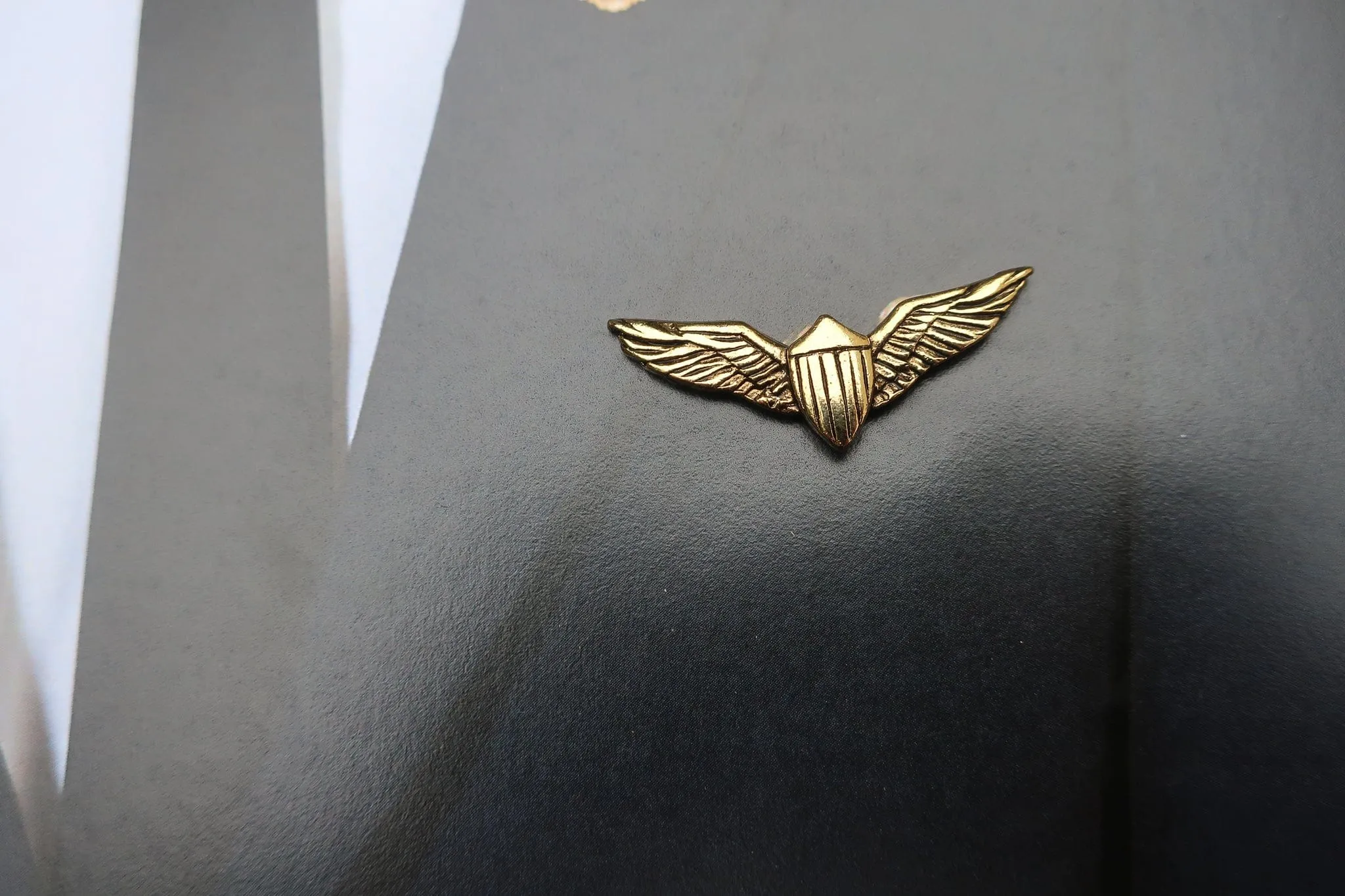 Pilot Wings Gold Lapel Pin